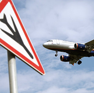 ロシア連邦航空輸送庁、旅客機がシナイ上空でレーダーから消失したことを確認