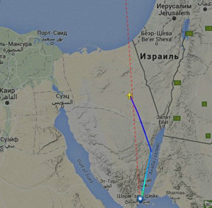 メディア報道：レーダーから消失したロシア機の残骸、エジプトで発見